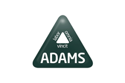 Adams-factor-humano-RRHH-logo-triangulo_verde