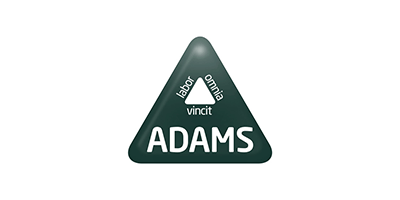 Adams-factor-humano-RRHH-logo-triangulo_verde